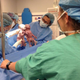 Illustration for article titled Your Morning Squee: Twin Girls Born Holding Hands